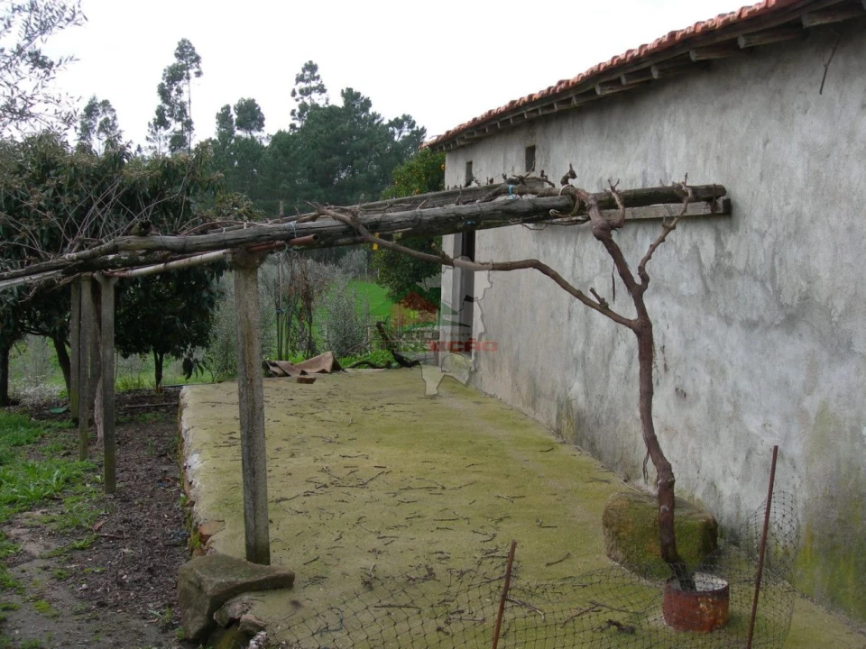 Terreno para Venda em Cernache do Bonjardim, Nesperal e Palhais Foto 1