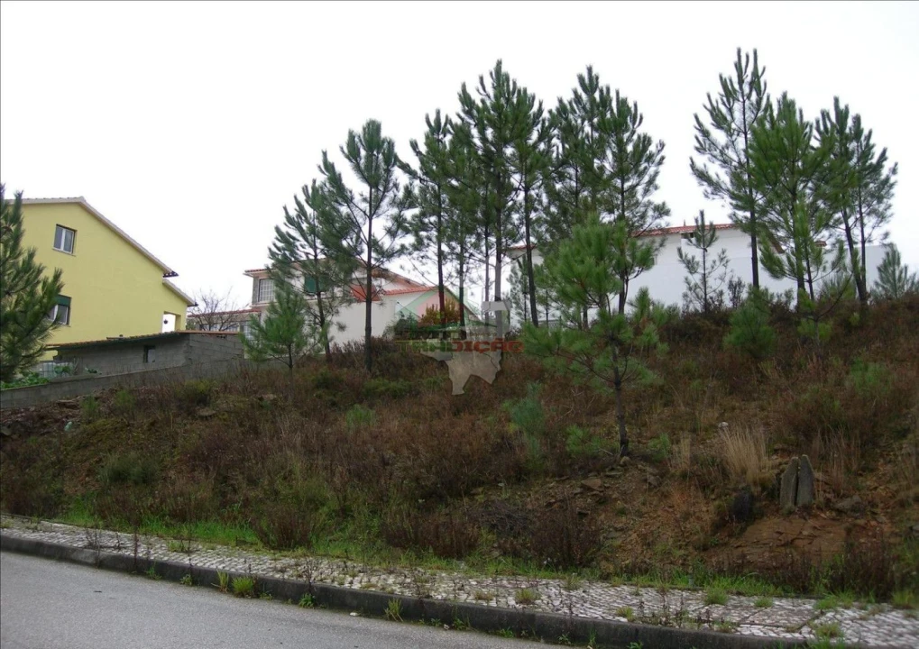 Terreno para Venda em Castanheira de Pêra e Coentral Foto 6