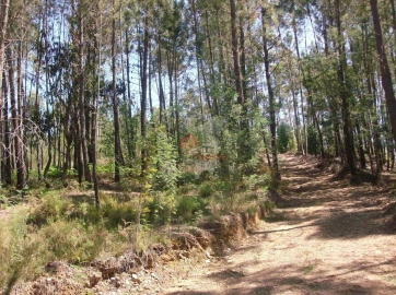 Terreno para Venda em Graça