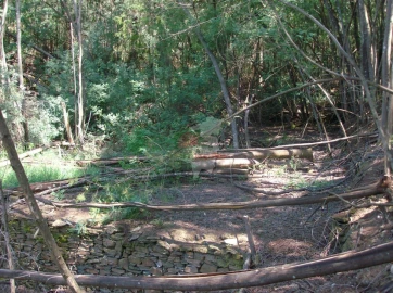 Terreno para Venda em Graça