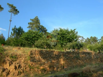 Terreno para Venda em Troviscal