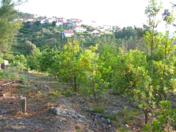 Terreno para Venda em Troviscal