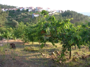 Terreno para Venda em Troviscal