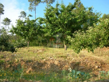 Terreno para Venda em Troviscal