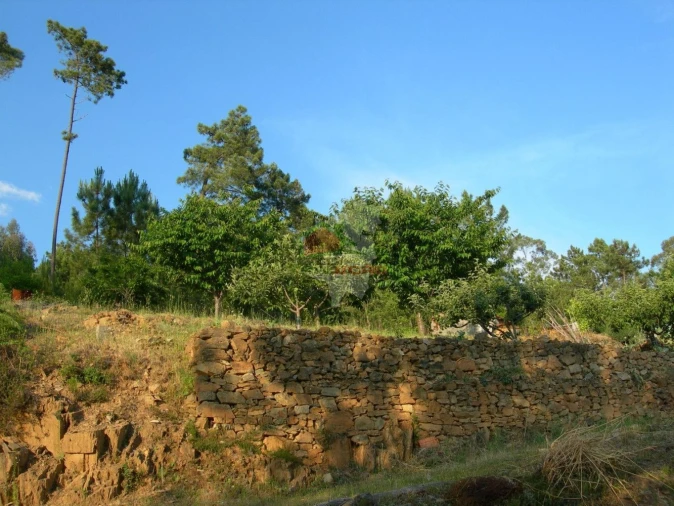 Terreno para Venda em Troviscal Foto 5
