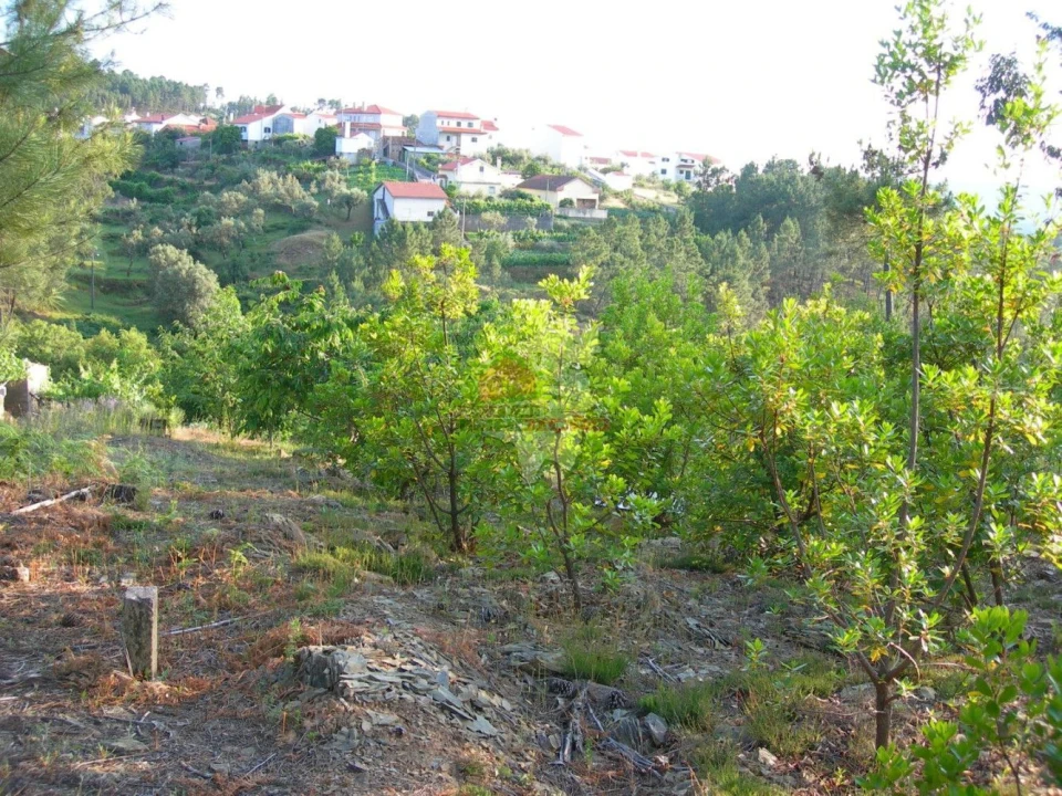 Terreno para Venda em Troviscal Foto 2
