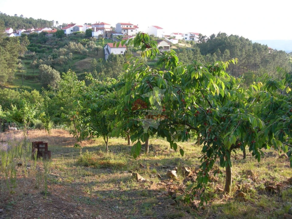Terreno para Venda em Troviscal Foto 3