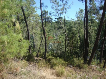 Terreno para Venda em Troviscal