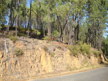 Terreno para Venda em Troviscal