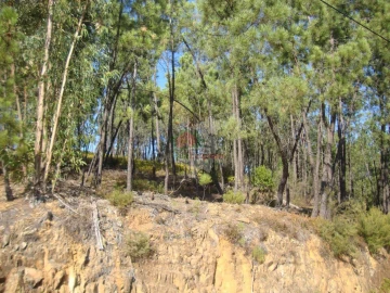 Terreno para Venda em Troviscal