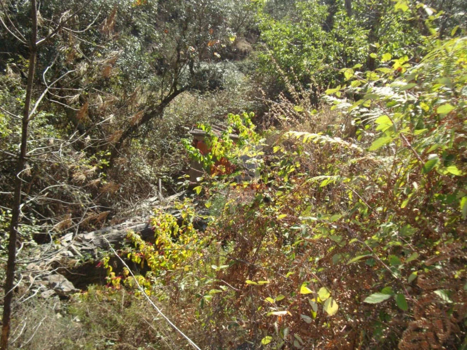 Terreno para Venda em Troviscal Foto 10