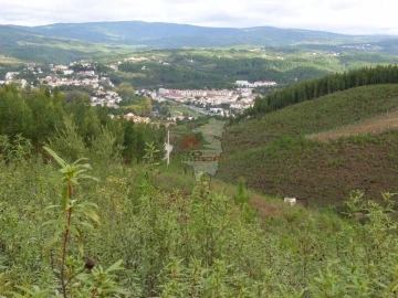 Terreno para Venda em Cumeada e Marmeleiro