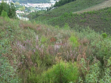 Terreno para Venda em Cumeada e Marmeleiro