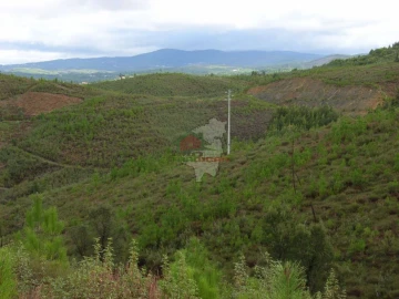 Terreno para Venda em Cumeada e Marmeleiro