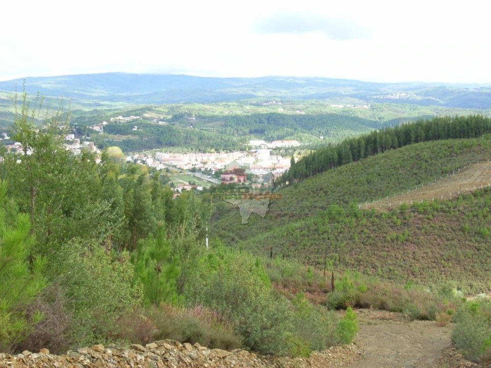 Terreno para Venda em Cumeada e Marmeleiro Foto 2