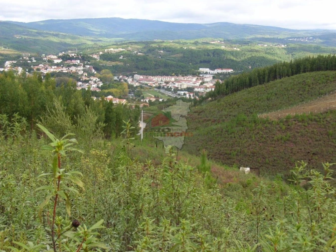 Terreno para Venda em Cumeada e Marmeleiro Foto 3