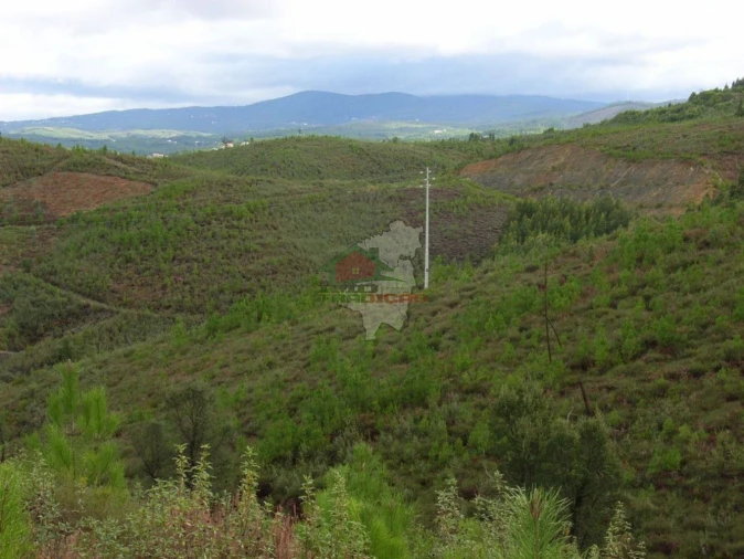 Terreno para Venda em Cumeada e Marmeleiro Foto 7