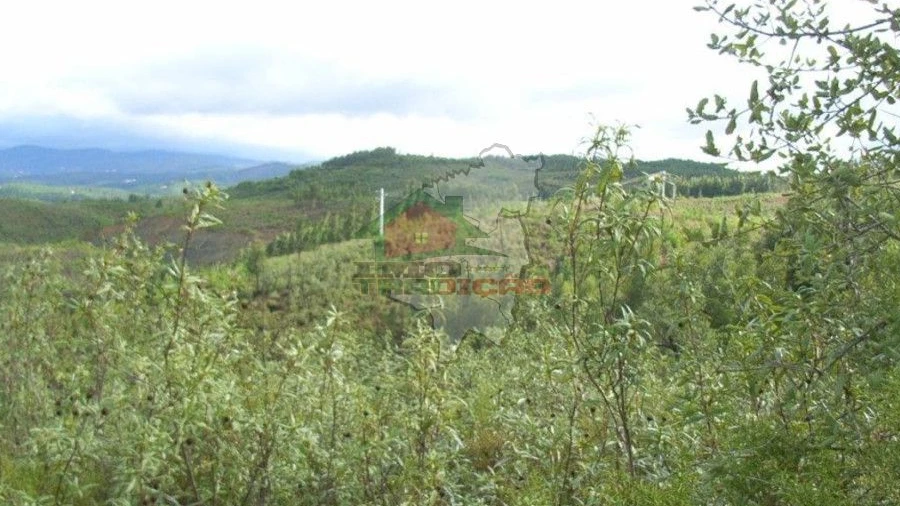 Terreno para Venda em Cumeada e Marmeleiro