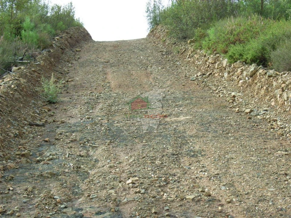 Terreno para Venda em Cumeada e Marmeleiro Foto 4