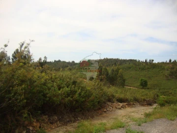 Terreno para Venda em Cernache do Bonjardim, Nesperal e Palhais