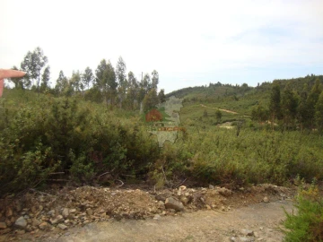 Terreno para Venda em Cernache do Bonjardim, Nesperal e Palhais