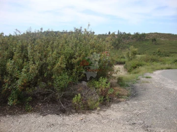 Terreno para Venda em Cernache do Bonjardim, Nesperal e Palhais