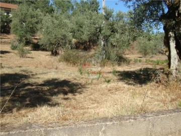 Terreno para Venda em Proença-A-Nova e Peral