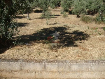 Terreno para Venda em Proença-A-Nova e Peral