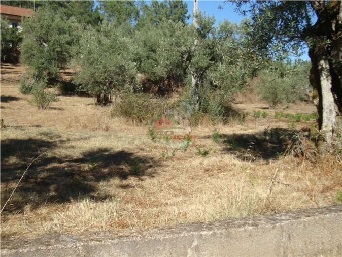 Terreno para Venda em Proença-A-Nova e Peral Foto 2