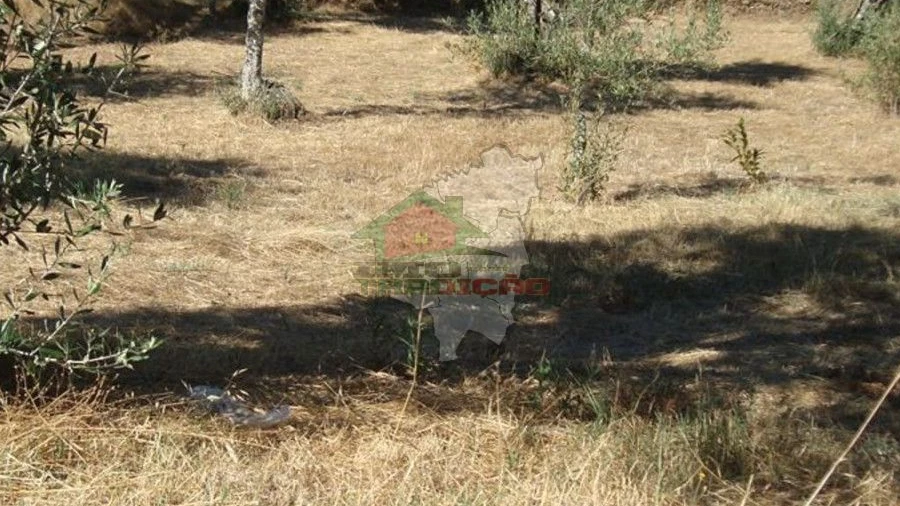 Terreno para Venda em Proença-A-Nova e Peral