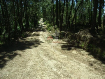 Terreno para Venda em Sertã