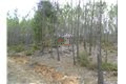Terreno para Venda em Oleiros-Amieira