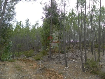 Terreno para Venda em Oleiros-Amieira
