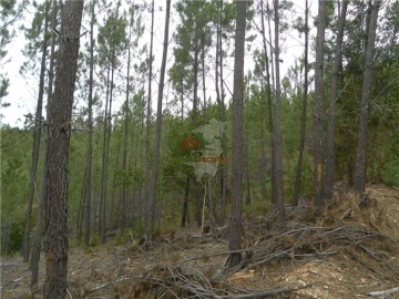 Terreno para Venda em Oleiros-Amieira