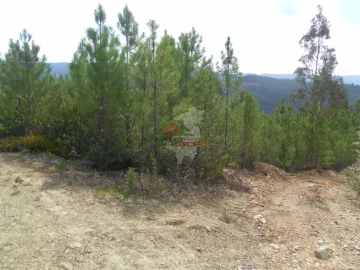 Terreno para Venda em Alvaro