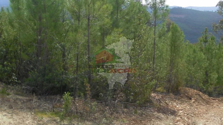 Terreno para Venda em Alvaro