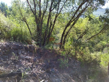 Terreno para Venda em Alvaro