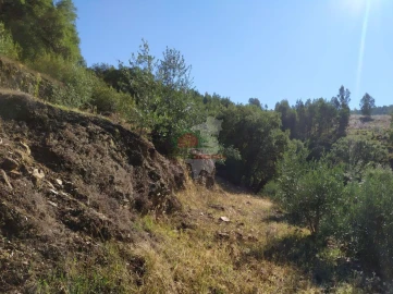 Terreno para Venda em Alvaro