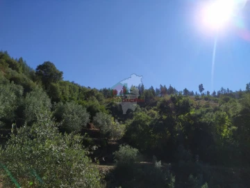 Terreno para Venda em Alvaro