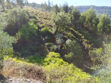 Terreno para Venda em Alvaro