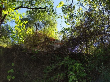 Terreno para Venda em Alvaro