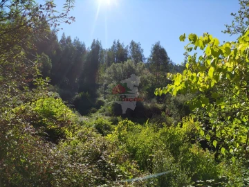 Terreno para Venda em Alvaro