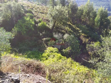 Terreno para Venda em Alvaro