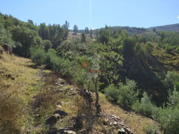 Terreno para Venda em Alvaro