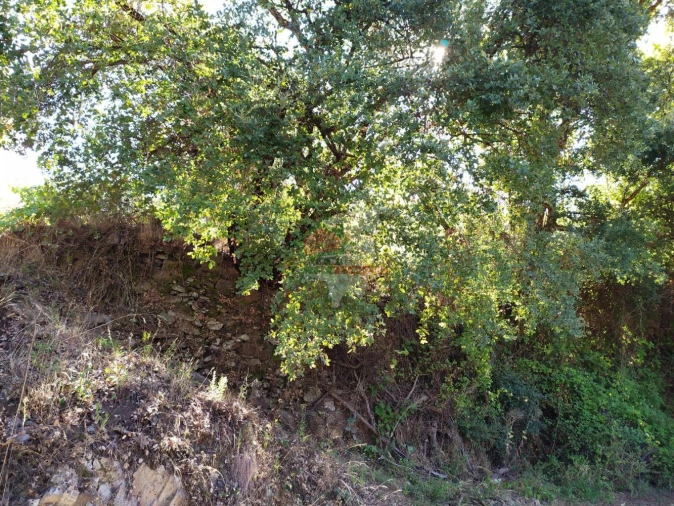 Terreno para Venda em Alvaro Foto 15