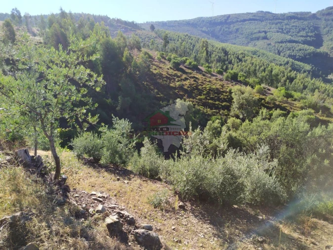 Terreno para Venda em Alvaro Foto 6