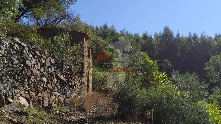 Terreno para Venda em Alvaro