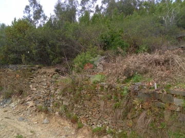 Terreno para Venda em Alvaro