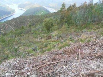 Terreno para Venda em Alvaro