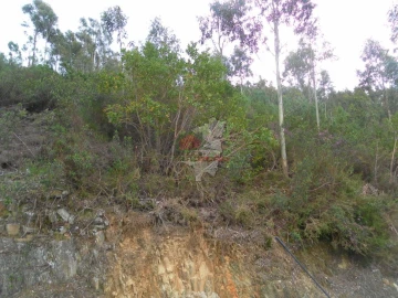 Terreno para Venda em Alvaro